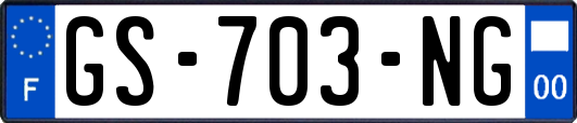 GS-703-NG