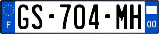 GS-704-MH