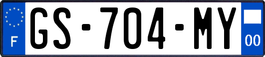 GS-704-MY