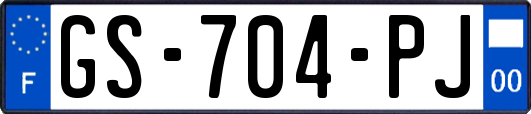 GS-704-PJ