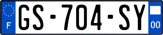 GS-704-SY
