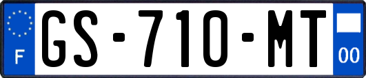 GS-710-MT