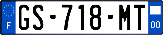 GS-718-MT