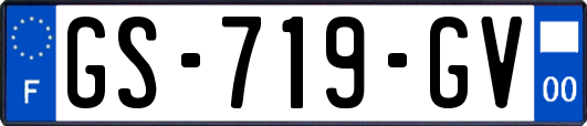 GS-719-GV
