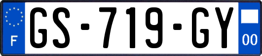 GS-719-GY