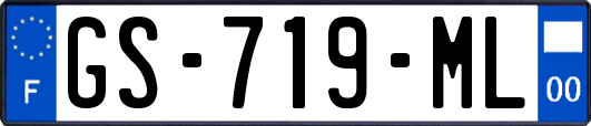GS-719-ML