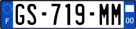GS-719-MM