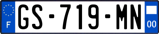 GS-719-MN
