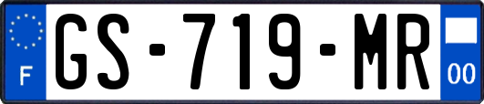 GS-719-MR