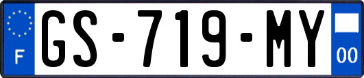 GS-719-MY