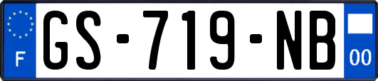 GS-719-NB