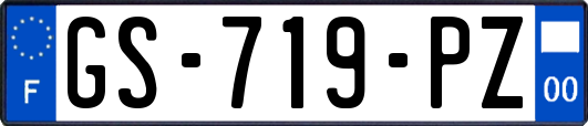 GS-719-PZ