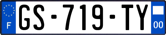 GS-719-TY