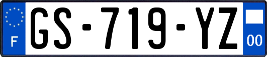 GS-719-YZ