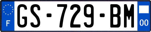 GS-729-BM