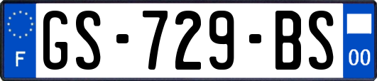 GS-729-BS