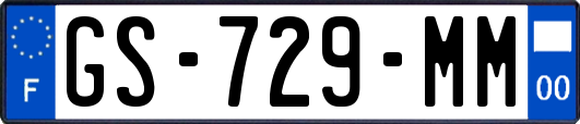 GS-729-MM