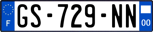GS-729-NN
