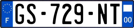 GS-729-NT