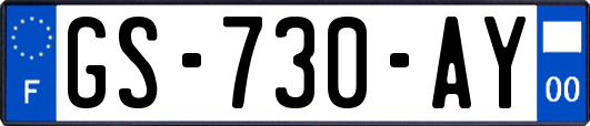 GS-730-AY