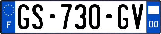 GS-730-GV