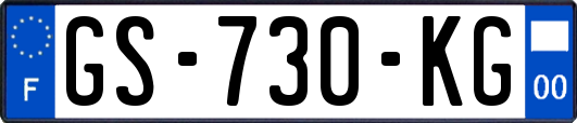 GS-730-KG