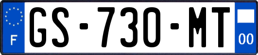 GS-730-MT