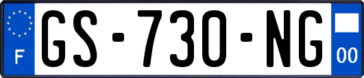 GS-730-NG