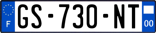 GS-730-NT