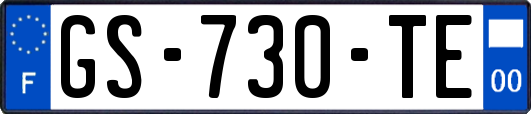 GS-730-TE