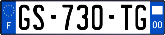 GS-730-TG