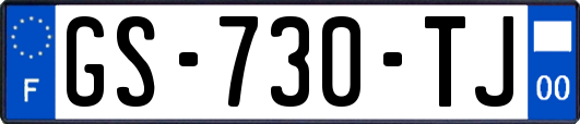 GS-730-TJ
