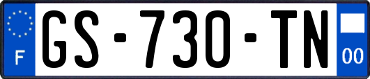 GS-730-TN