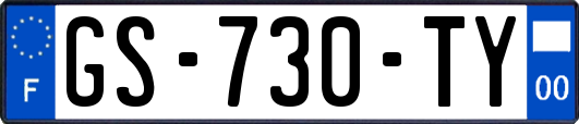 GS-730-TY