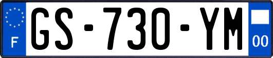 GS-730-YM