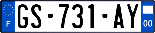 GS-731-AY