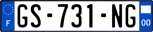 GS-731-NG