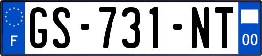GS-731-NT