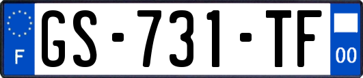 GS-731-TF