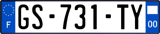 GS-731-TY