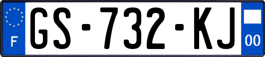 GS-732-KJ