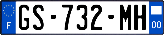 GS-732-MH