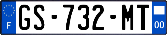 GS-732-MT