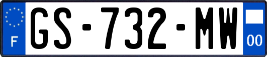 GS-732-MW