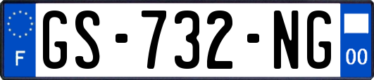 GS-732-NG