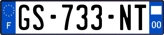 GS-733-NT