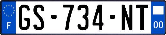GS-734-NT