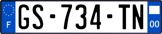 GS-734-TN