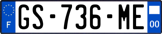 GS-736-ME