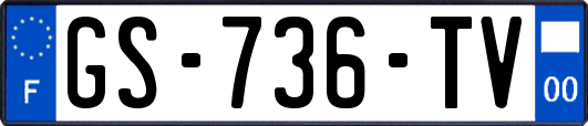 GS-736-TV